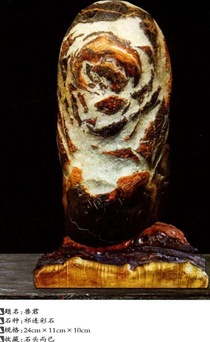 2022 虎年奇石欣赏 图片