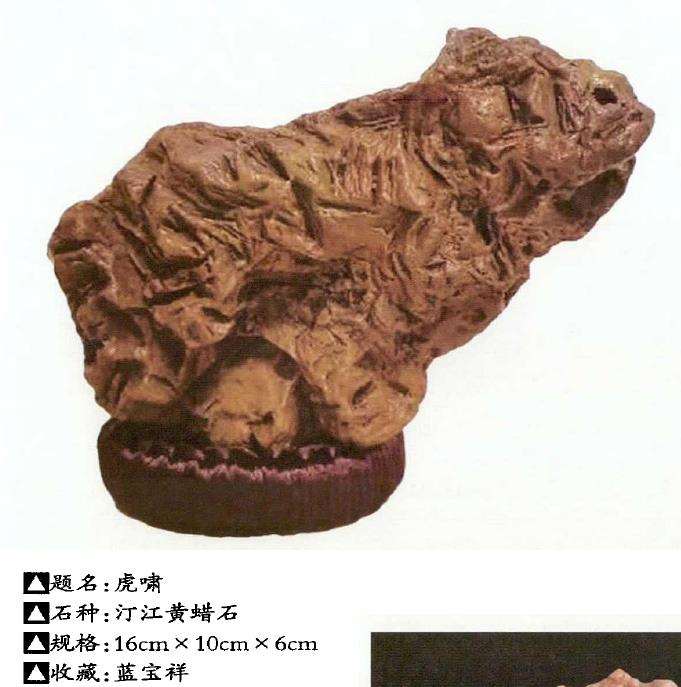 2022 虎年奇石欣赏 图片2