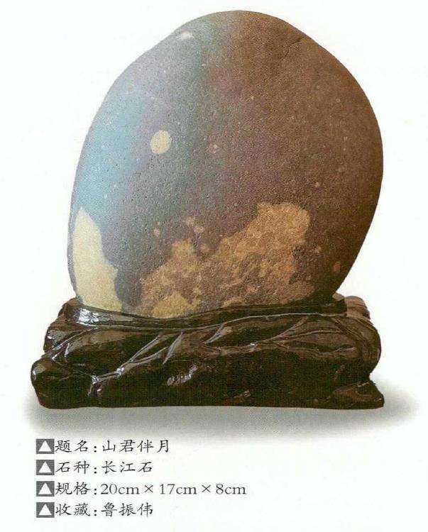 2022 虎年奇石欣赏 图片4