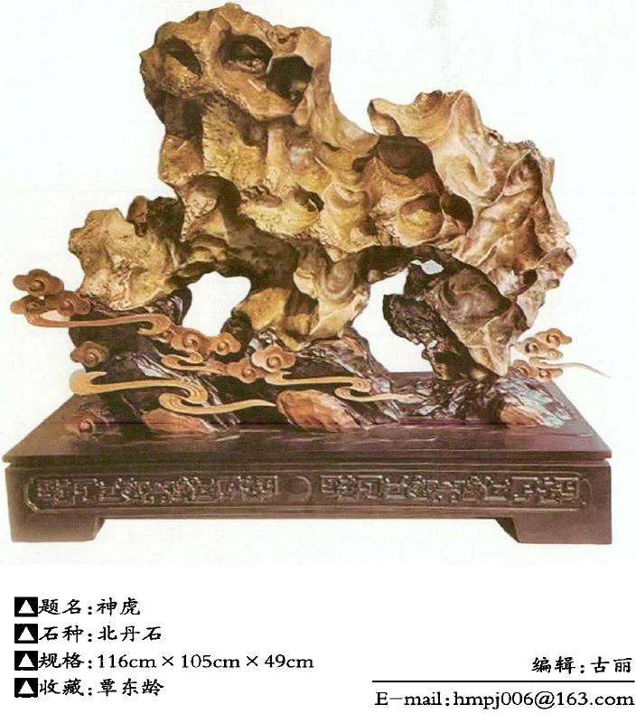 2022 虎年奇石欣赏 图片5