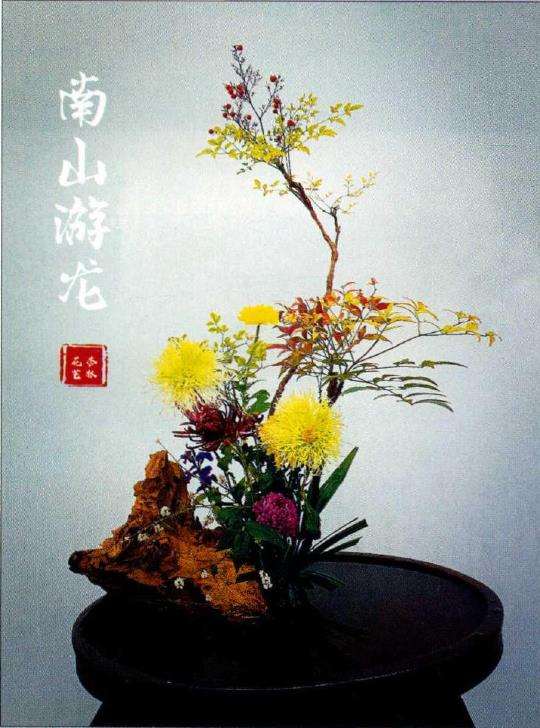 从小就特别喜欢生命力顽强的红萝花 图片