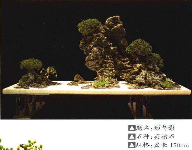 扬州扬派盆景艺术馆馆长 严龙金 图片