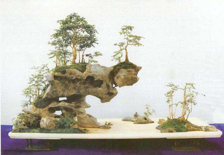 扬州扬派盆景艺术馆馆长 严龙金 图片