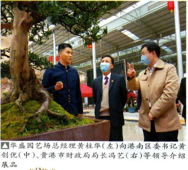 2022年 贵港市迎春盆景展销会 图片