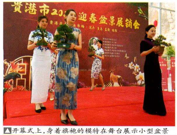 2022年 贵港市迎春盆景展销会 图片