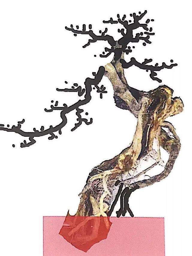 图解 博兰盆景怎么制作设计图的4个方法