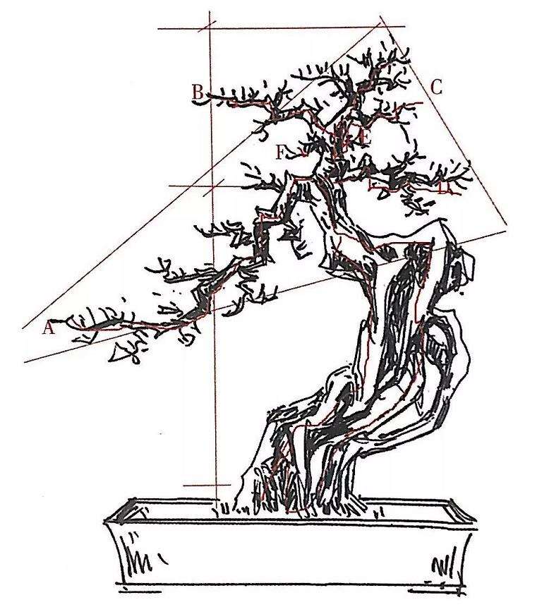 图解 博兰盆景怎么制作设计图的4个方法