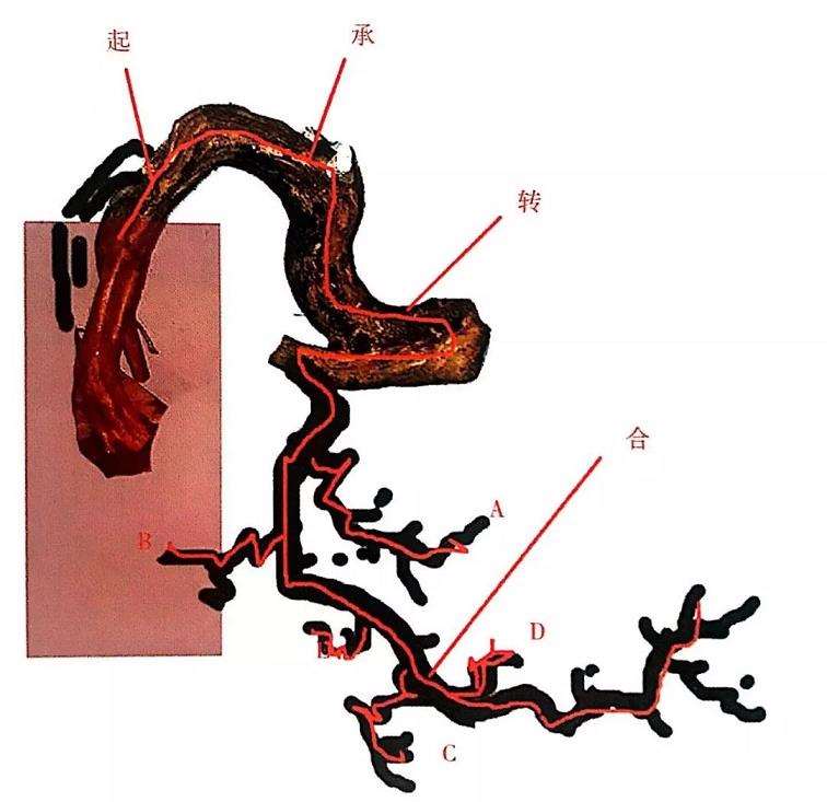 图解 罗汉松盆景怎么制作设计图的3个方法