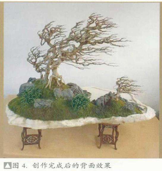 图解 山水盆景创作最应该注重什么