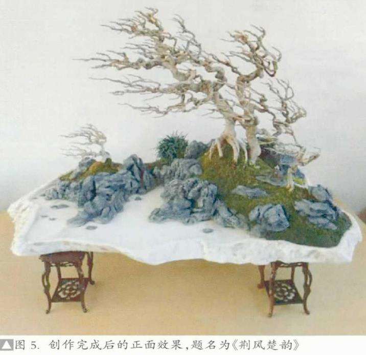 图解 山水盆景创作最应该注重什么