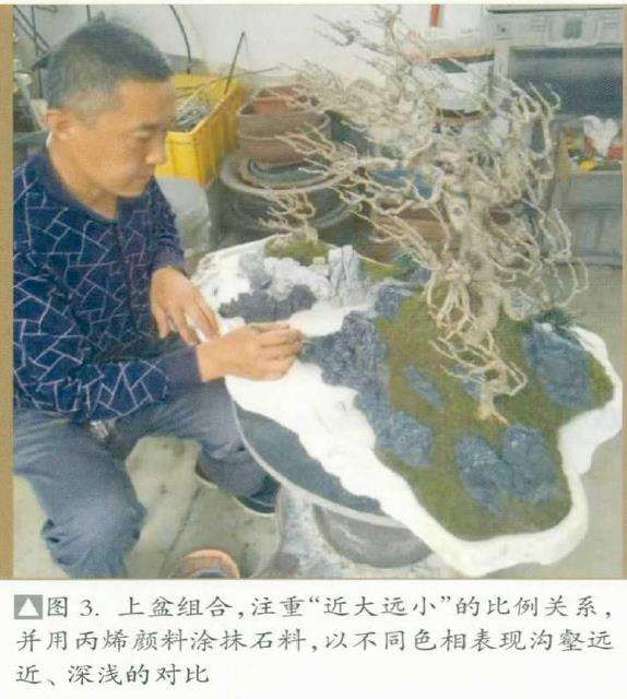 图解 山水盆景创作最应该注重什么