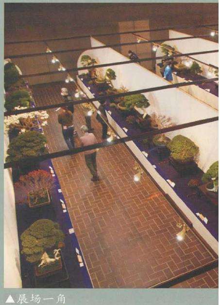 2022 第96回日本国风盆景展 图片