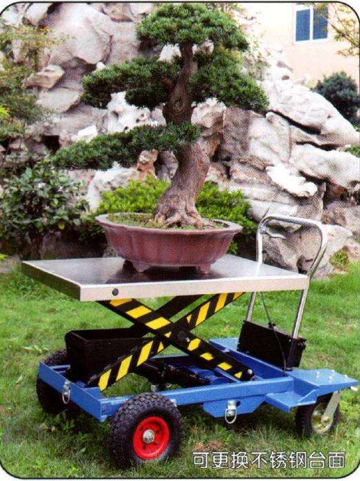 2022 扬州盆协盆景才艺秀侧记