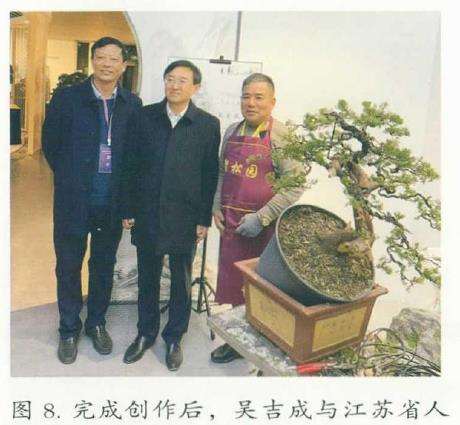 图解 真柏下山桩怎么制作盆景的8个步骤