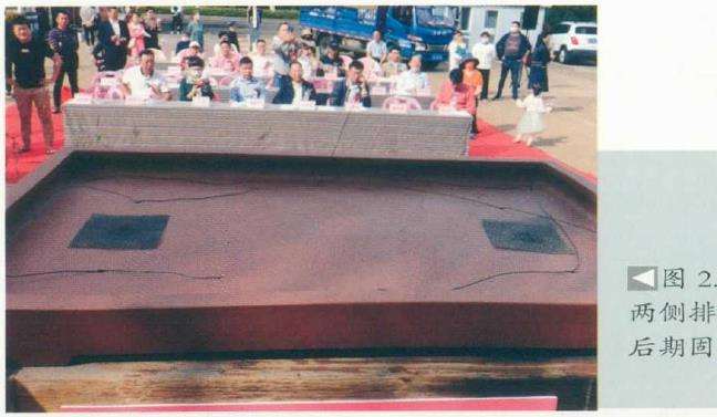 图解 刘传刚怎么制作大型雨林式盆景的26个过程