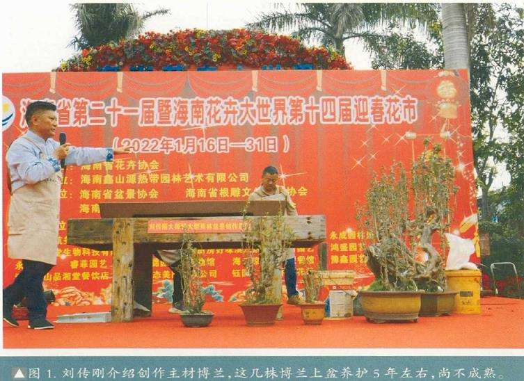 图解 刘传刚怎么制作大型雨林式盆景的26个过程