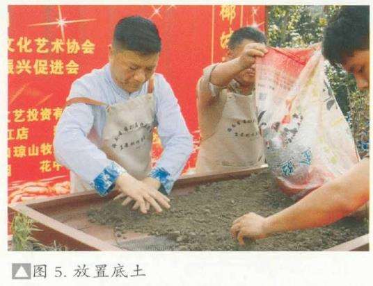 图解 刘传刚怎么制作大型雨林式盆景的26个过程