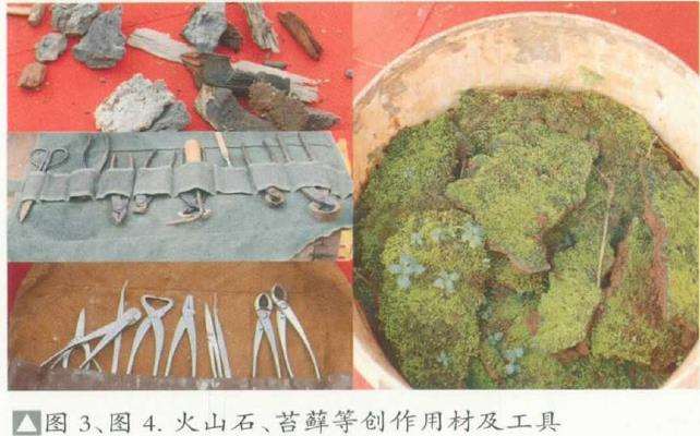 图解 刘传刚怎么制作大型雨林式盆景的26个过程
