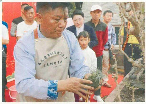 图解 刘传刚怎么制作大型雨林式盆景的26个过程