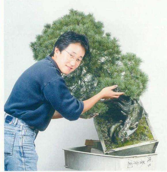 图解 改变盆景种植角度 突出根盘造型