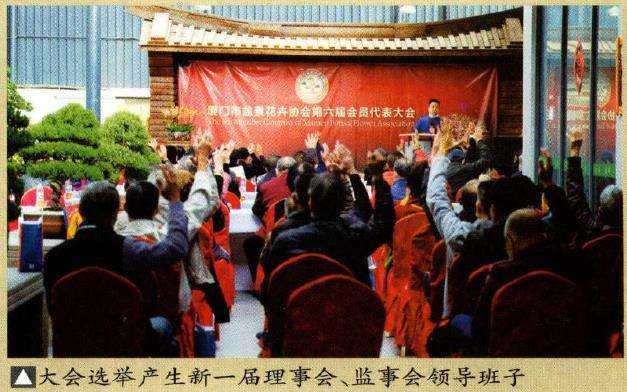 2022年厦门盆景花卉协会 会员代表大会