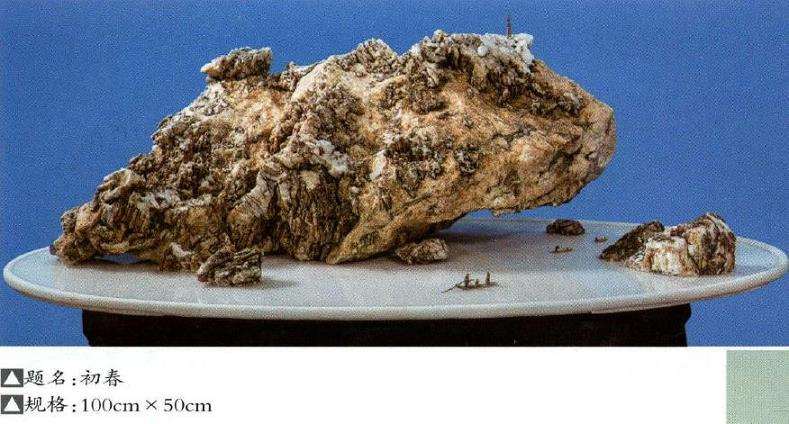 山石盆景甚能表现盆景之盆中之景 图片