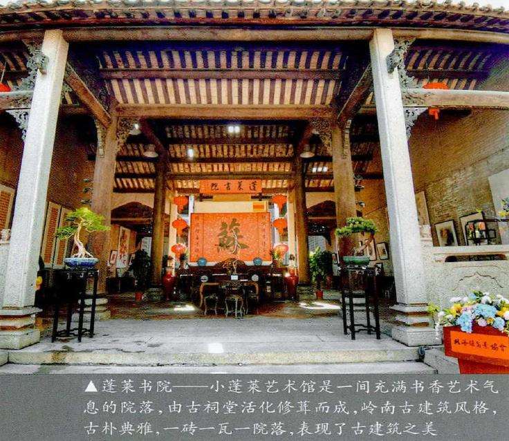 佛山北滘镇.举办庆三八女会员盆景展 图片