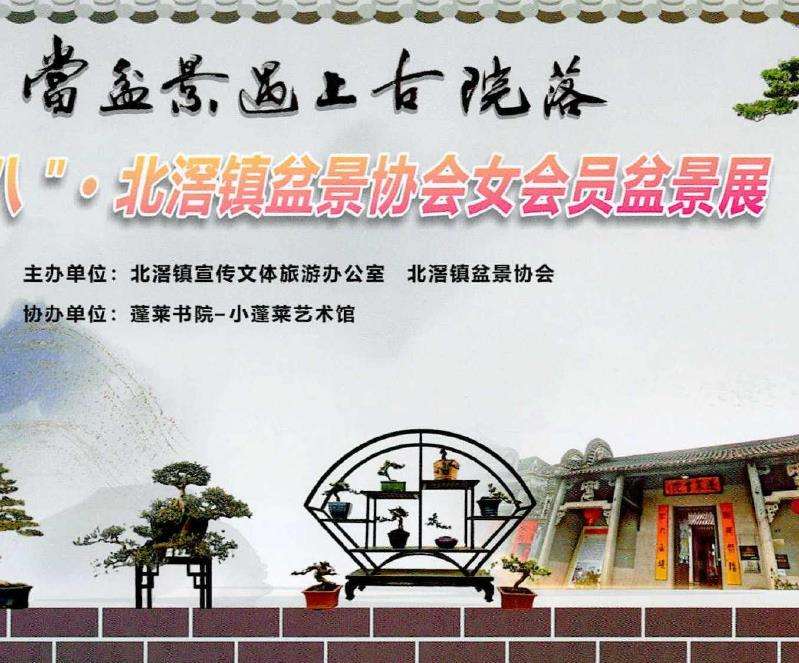 佛山北滘镇.举办庆三八女会员盆景展 图片