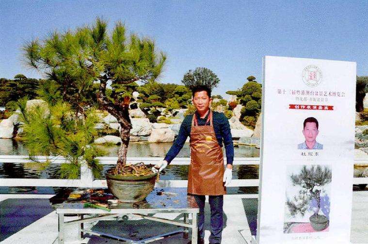 图解 山松盆景怎么制作的13个过程