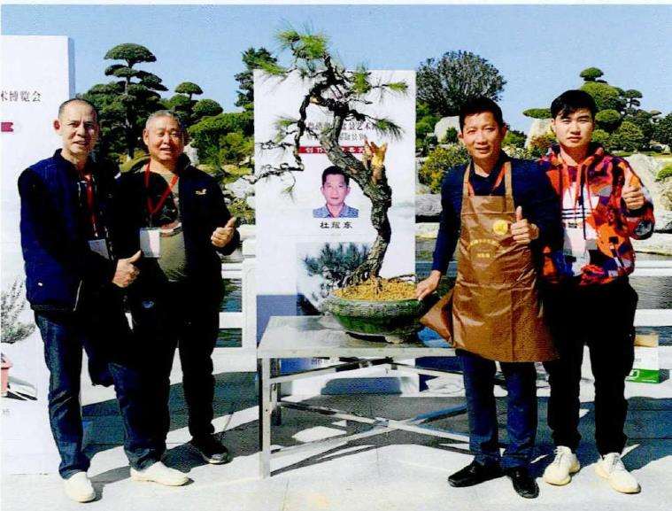 图解 山松盆景怎么制作的13个过程