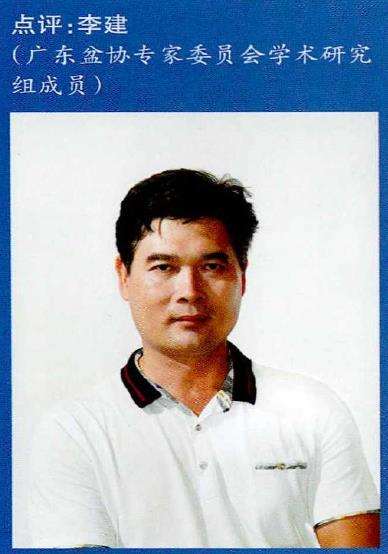 图解 山松盆景怎么制作的13个过程