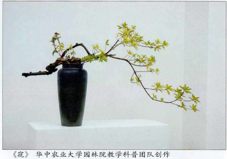 2022 武汉插花艺术主题活动 图片