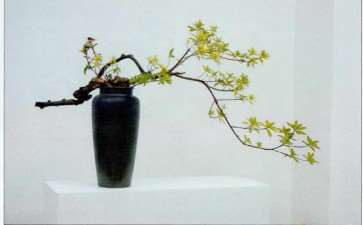 2022 武汉插花艺术主题活动 图片