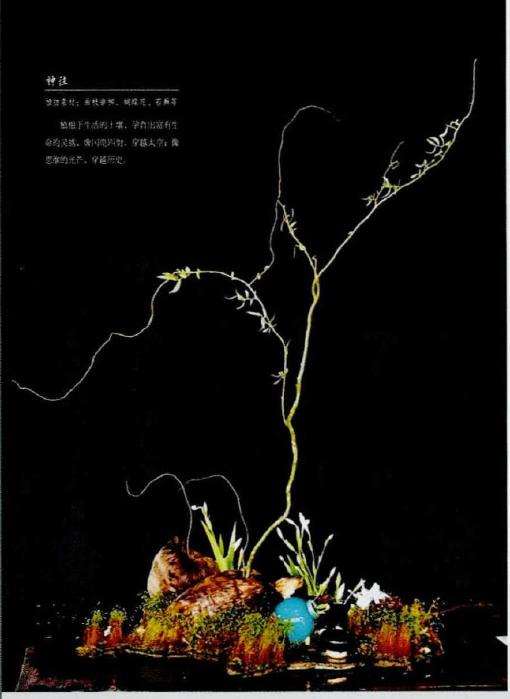 一本书 一些花和一个人的情怀 图片
