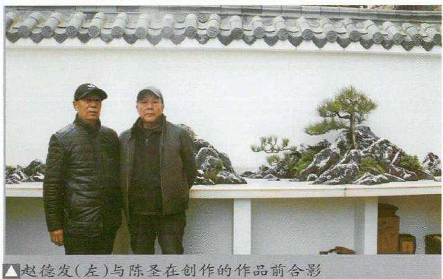 赵德发 陈圣山水盆景欣赏 图片