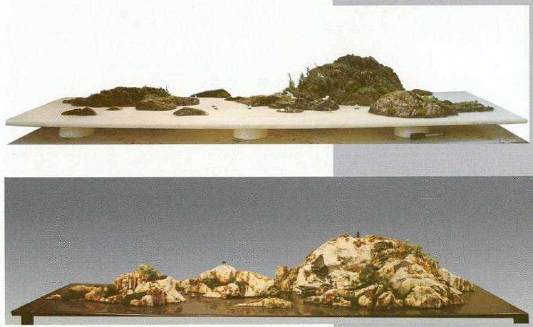 赵德发 陈圣山水盆景欣赏 图片