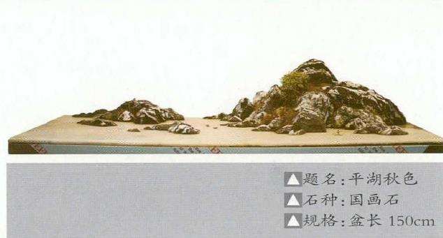 赵德发 陈圣山水盆景欣赏 图片