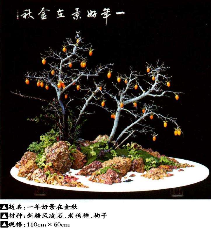 山水与水旱盆景怎么制作的浅谈 图片