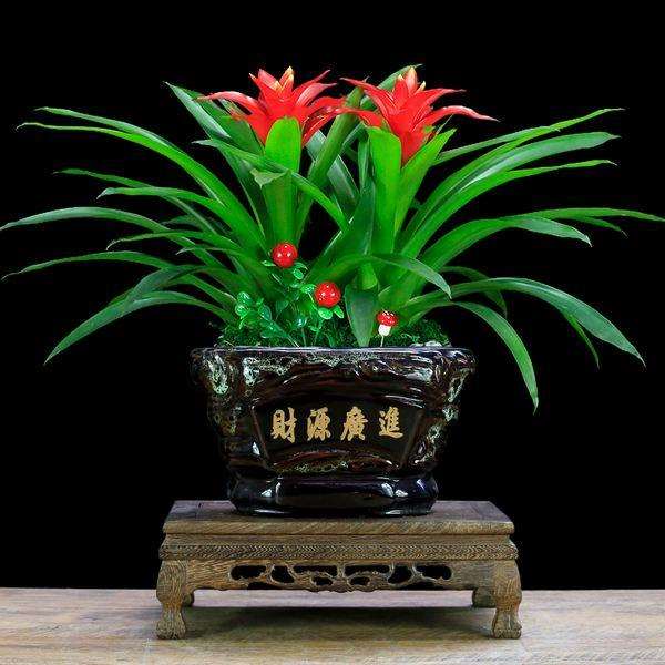 2019年11月广州盆花整体销售情况表现一般