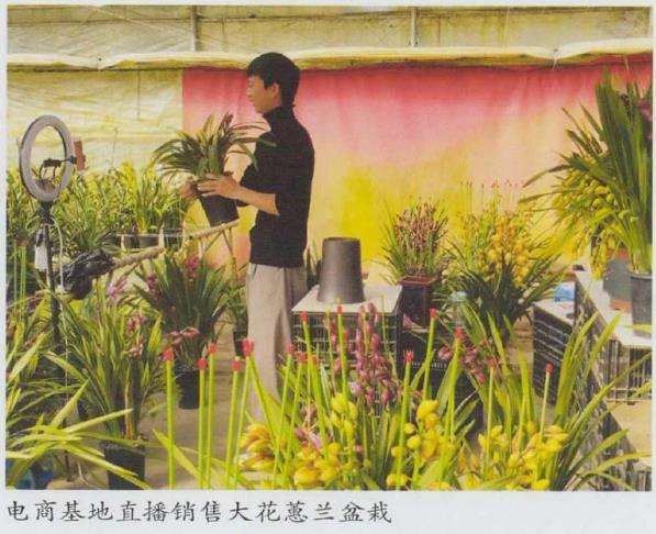 2022 花卉市场潜力十足 涨价大概率