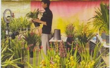 2022 花卉市场潜力十足 涨价大概率