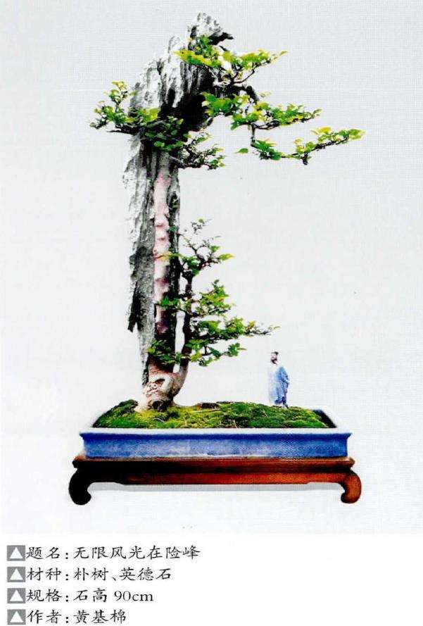 岭南附石盆景的起源和发展 图片