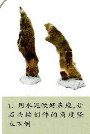 图解 附干盆景怎么制作思考的9个步骤