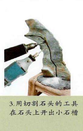 图解 附干盆景怎么制作思考的9个步骤