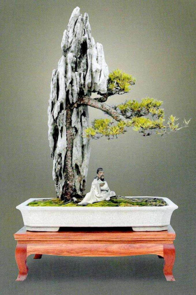 附石盆景附植后怎么日常管理的5个步骤 图片