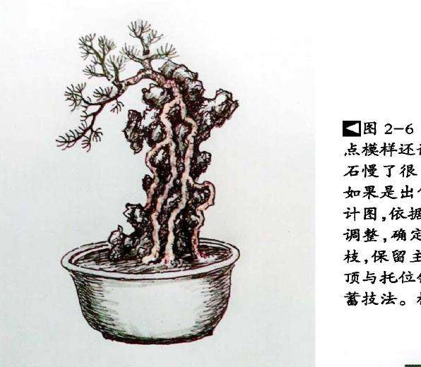 图解 树根附石盆景怎么制作方法