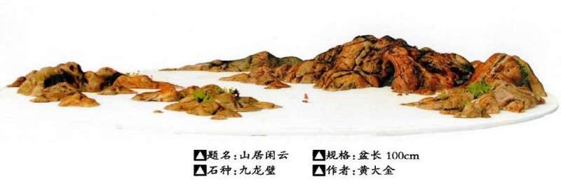 为什么山水盆景受众是其发展的王道 图片