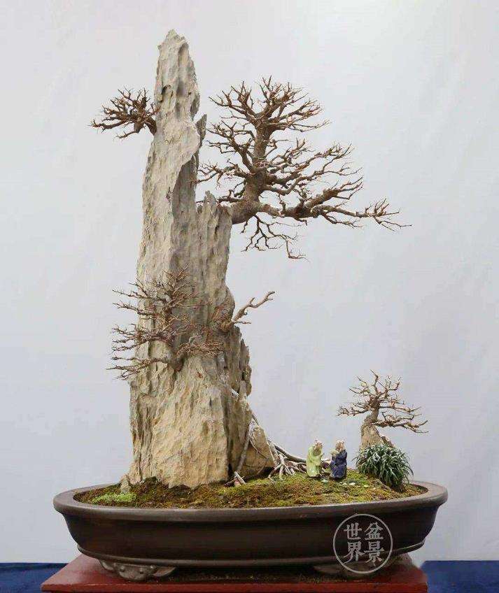 岭南附石盆景赏析 图片