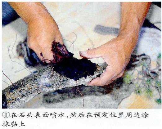 图解 制作附石盆景怎么素材准备和石材加工