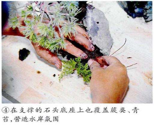 图解 制作附石盆景怎么素材准备和石材加工